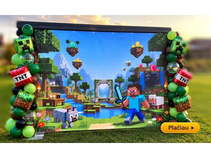 Minecraft foto sienos nuoma