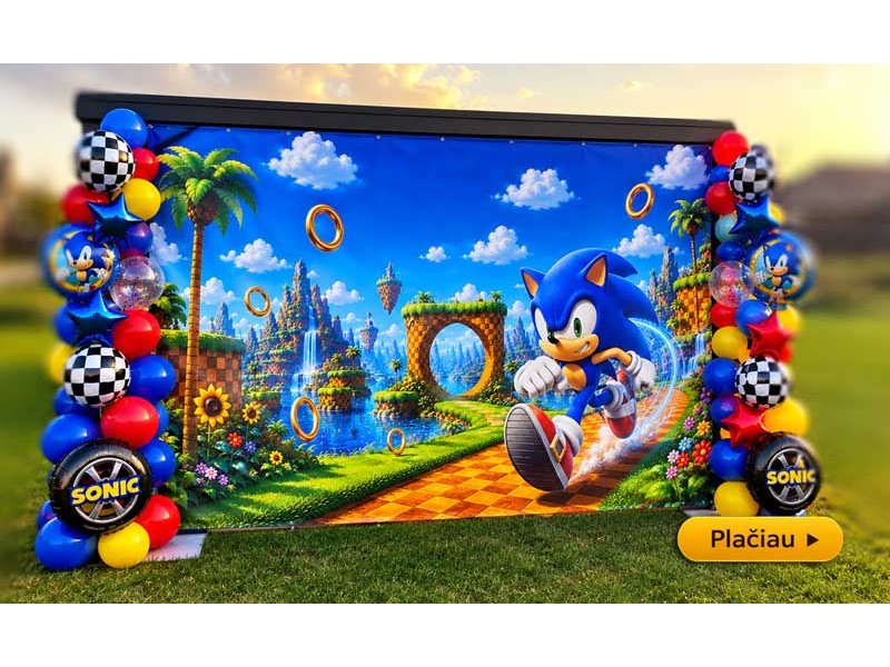 Sonic foto sienos nuoma